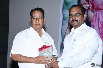 Memu Movie Release Press Meet 